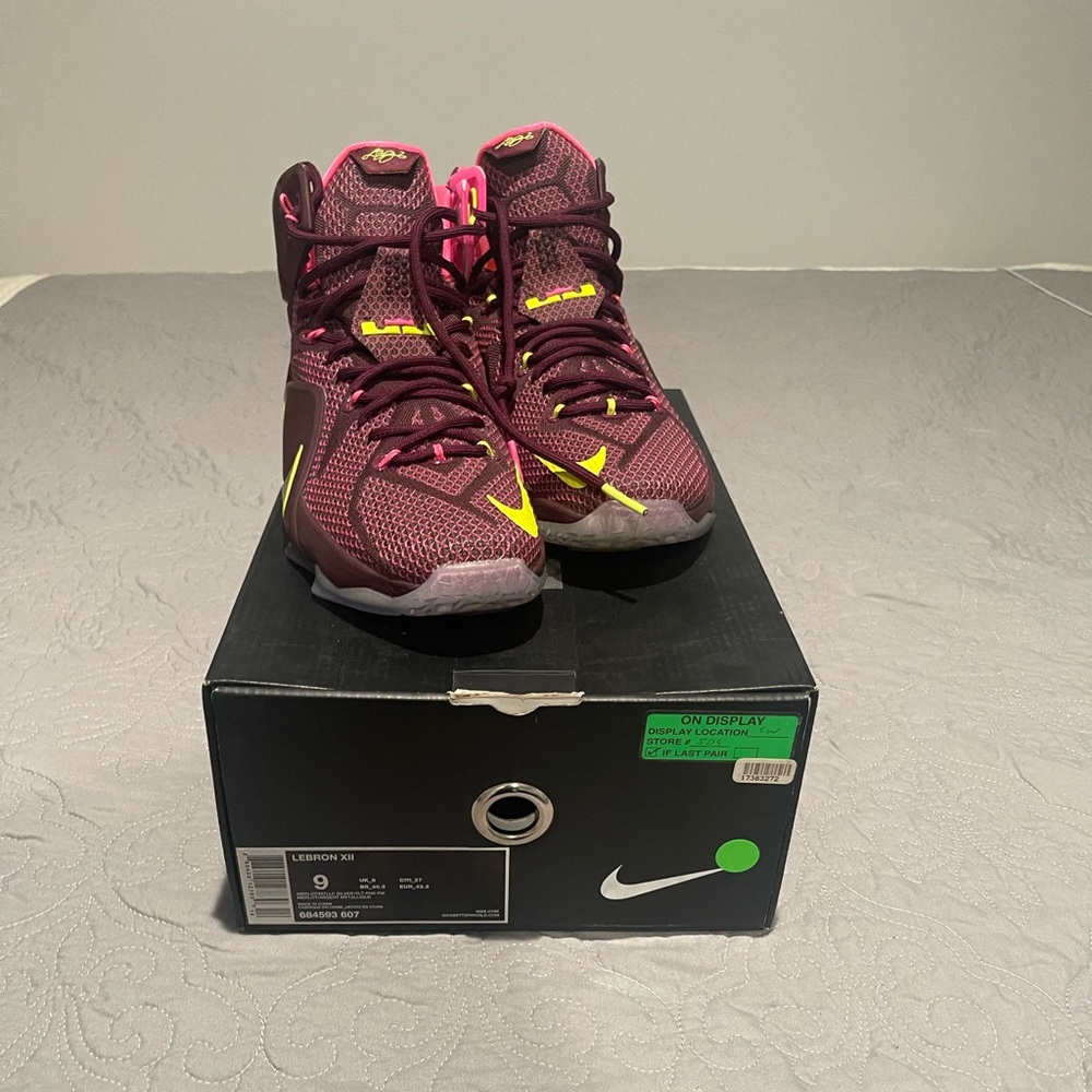 Lebron XII